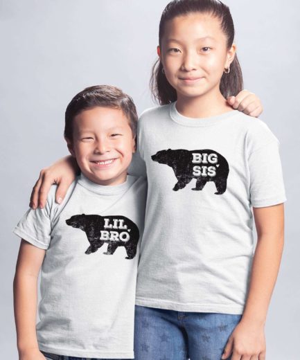 Big Sister Little Brother Shirts, Bear, Siblings Shirts, Matching Big Bro Lil Sis