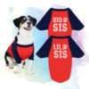 Big Sis Lil Sis Dog Shirts, Raglan, Matching Dog Shirts, Funny Dog Outfit