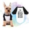 Promoted to Big Sis Dog Shirt, Promoted to Big Bro, Raglan, Dog Shirts
